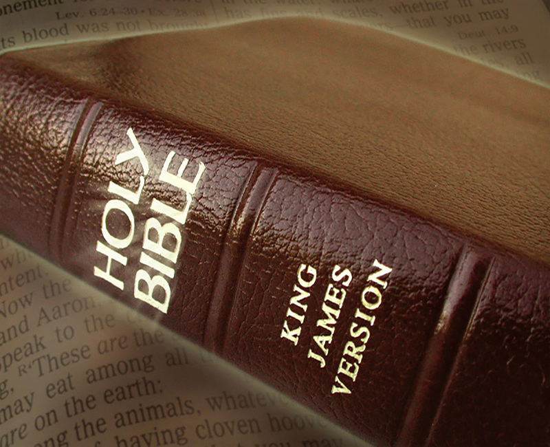 The Bible Way to Heaven